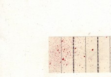 Plural Christopher Stackhouse