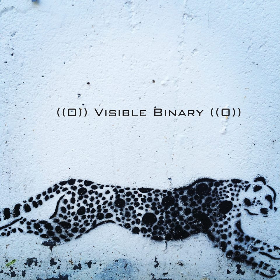 Visible Binary Launch Party, April 22, 2016
