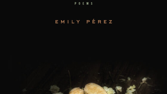 Reading: Emily Pérez, Wayne Miller, Carolina Ebeid, Saturday, June 4, 2022, 5:30pm